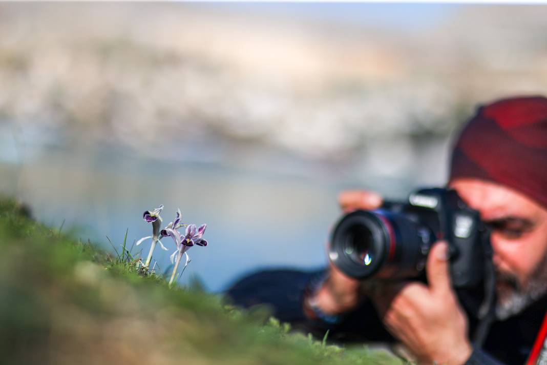 Fırat Nehri kıyısında açan çiçekler fotoğraflandı 5