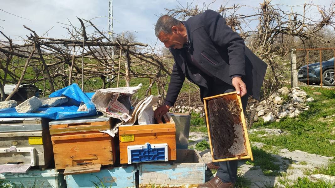 Diyarbakır’da on binlerce arı öldü 2
