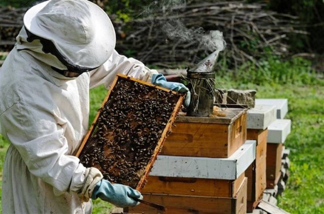 Diyarbakır’da on binlerce arı öldü 4