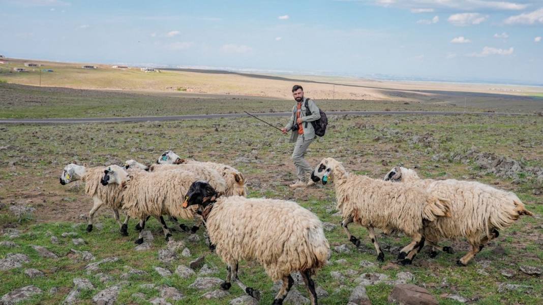 Dünya Diyarbakırlı çobanı takip ediyor; Bir milyona yakın kişiye erişti 2
