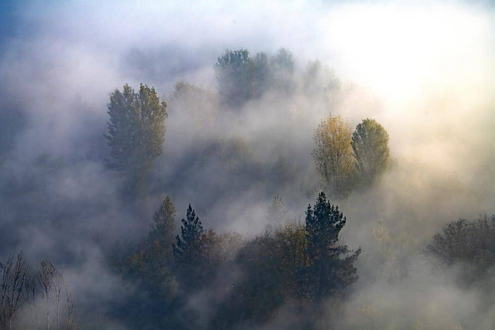 Diyarbakır Hevsel Bahçelerinde sis kartpostallık görüntüler oluşturdu 3