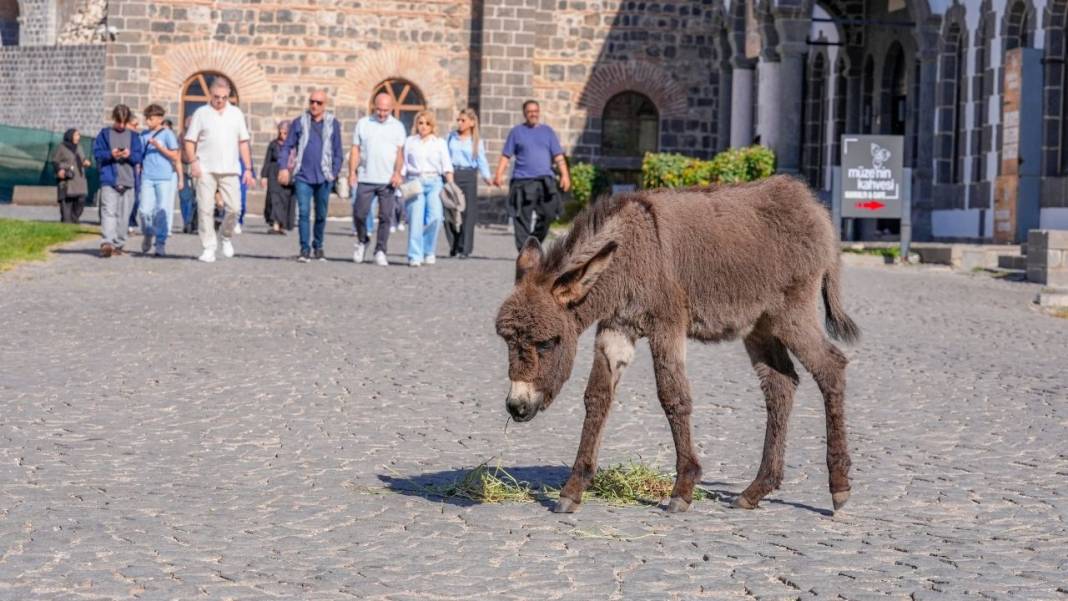 Diyarbakır Müzesi’nden bir ilk daha; Ziyaretçiler fotoğraf çektirmek için sıraya giriyor 1