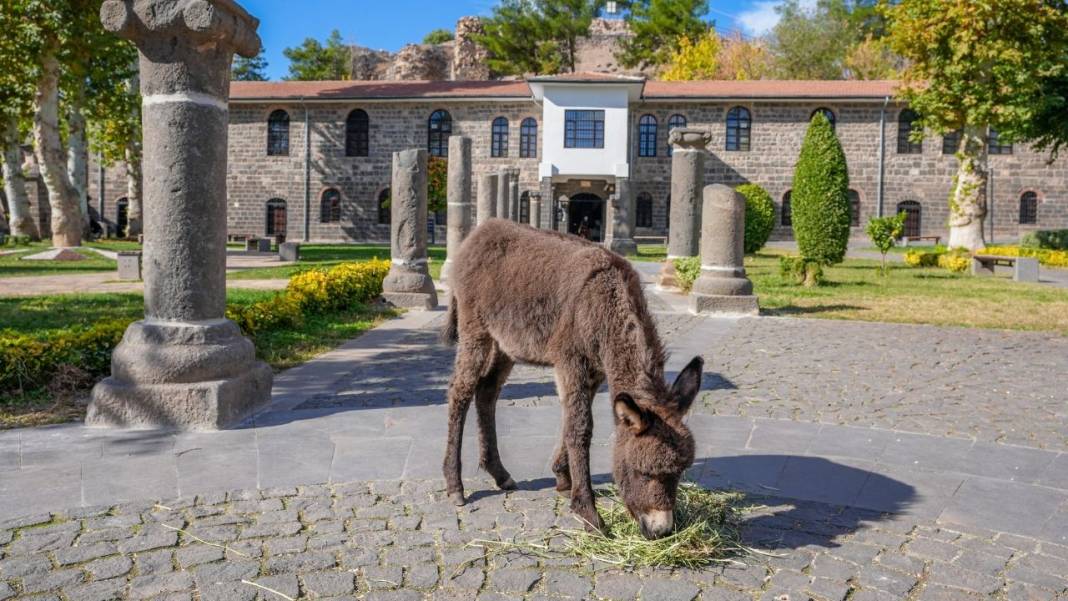 Diyarbakır Müzesi’nden bir ilk daha; Ziyaretçiler fotoğraf çektirmek için sıraya giriyor 2