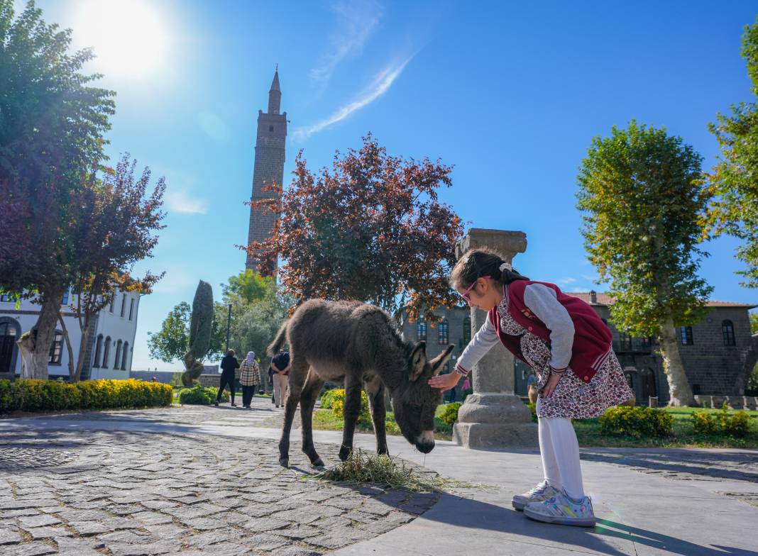 Diyarbakır Müzesi’nden bir ilk daha; Ziyaretçiler fotoğraf çektirmek için sıraya giriyor 3
