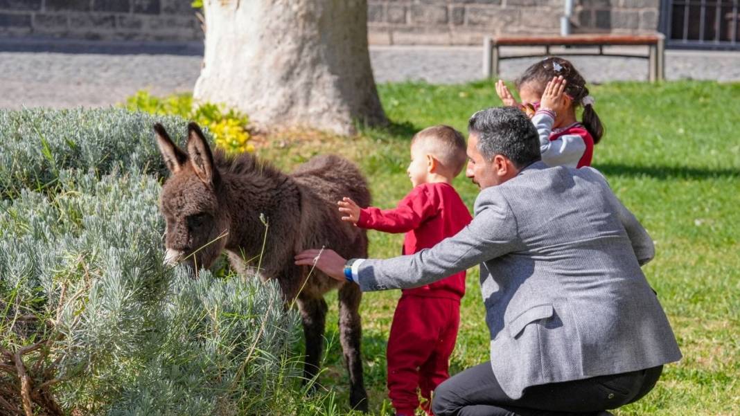 Diyarbakır Müzesi’nden bir ilk daha; Ziyaretçiler fotoğraf çektirmek için sıraya giriyor 5