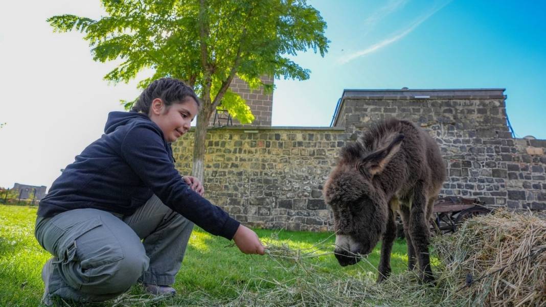 Diyarbakır Müzesi’nden bir ilk daha; Ziyaretçiler fotoğraf çektirmek için sıraya giriyor 4