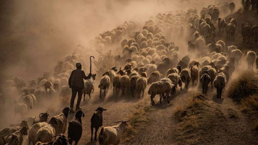 2026 Hevsel Kupası; Diyarbakır’da Fotoğrafın Oskarları sahiplerini buldu 1