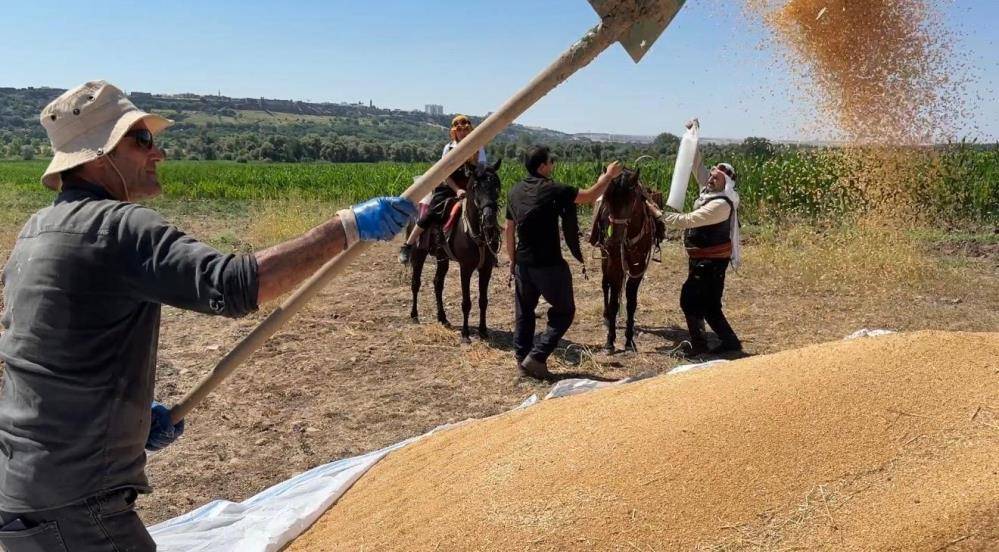 Diyarbakır’da 40 derece sıcakta at sırtında zamana karşı yarış 4