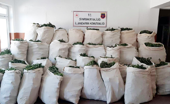 VİDEO HABER - Diyarbakır'da 756 kilo esrar ele geçirildi