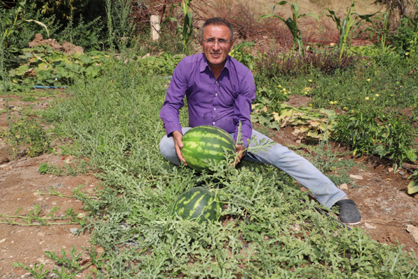 Hakkari karpuzu Diyarbakır’a rakip oldu