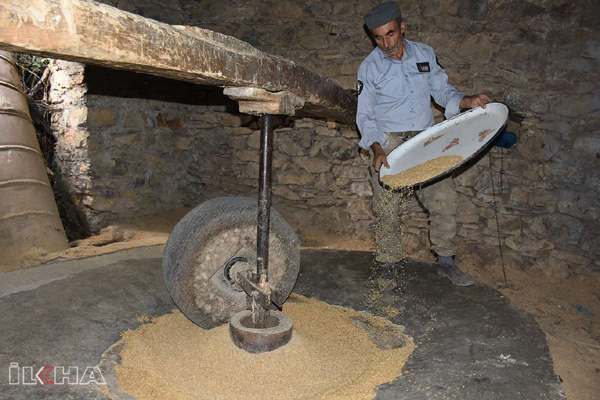 VİDEO HABER - Kursunç pirinci asırlık su değirmeninde öğütülüyor