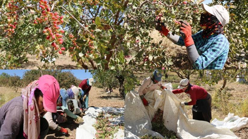 Kadınlar: Emeğimizin karşılığını alamıyoruz