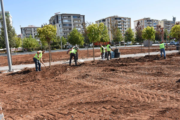 Diyarbakır'a özgü ağaçlar bu parkta yetiştirilecek!