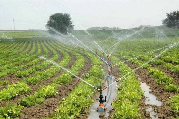 Diyarbakır’da 500 bin dekar tarım arazisi sulandı