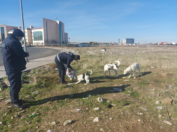 Yenişehir Belediyesi sokak hayvanlarını unutmadı