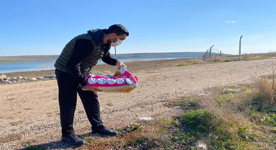 Kilis'te AK Parti gençlerden can dostlara mama desteği