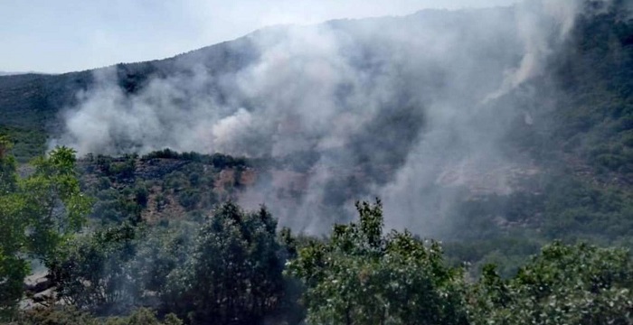 Diyarbakır'da ormanlık alanda yangın