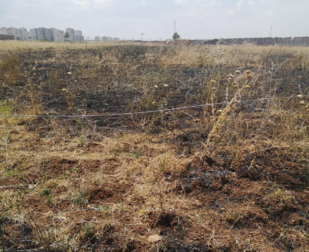 Diyarbakır’da önce biçerdöver, ardından 400 dönümlük ekili alan yandı