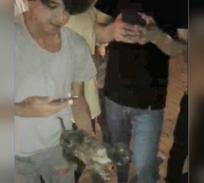 Anne köpek, çukura düşen yavrusu kurtarılıncaya kadar bekledi