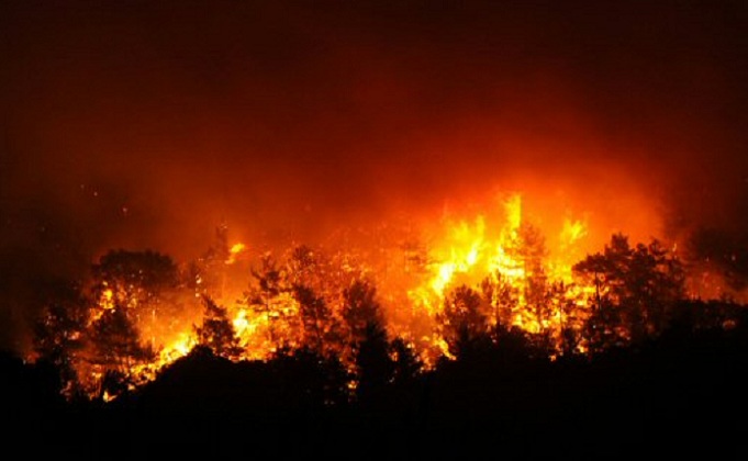 4 ilde orman yangınlarıyla mücadele devam ediyor