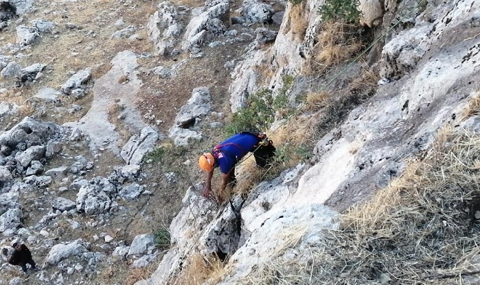 AFAD ekipleri dağlık alanda kayalıklara sıkışan koyunu kurtardı