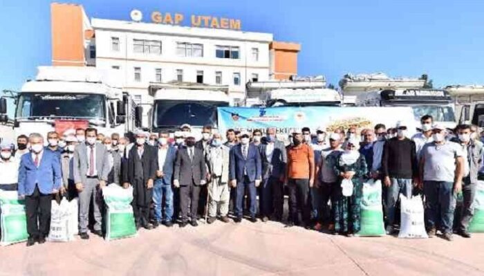 Diyarbakır'da çiftçilere mercimek tohumu desteği
