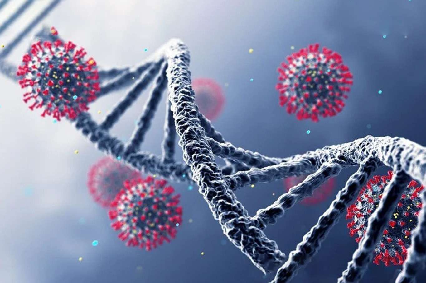 Dünya Sağlık Örgütünden ülkelere Omicron  varyant çağrısı