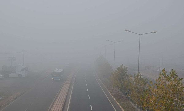Diyarbakır'da yoğun sis nedeniyle uçak seferleri iptal edildi
