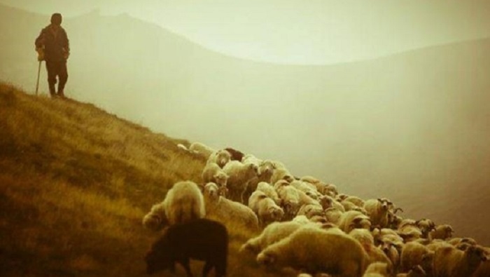 Kayalıklardan düşen çoban hayatını kaybetti