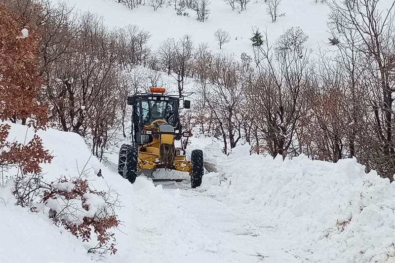 Diyarbakır'da karla kapanan 1029 mahallenin yolu açıldı