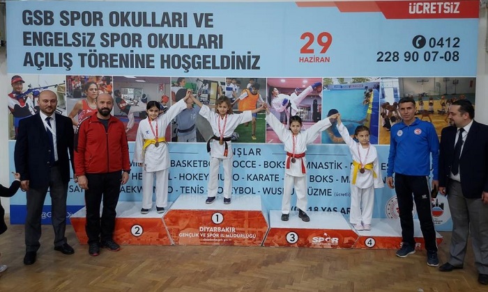 Diyarbakır’da Okullar Arası Karate İl Birinciliği müsabakaları tamamlandı