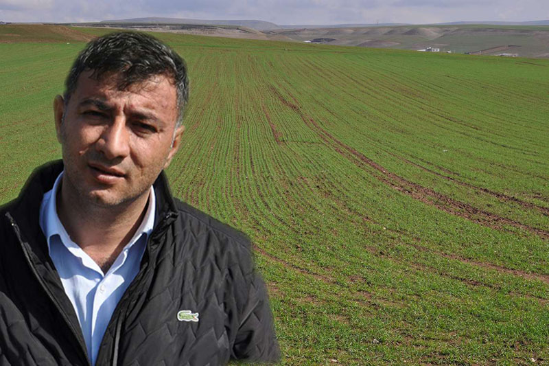 VİDEO HABER - ‘Türkiye’de buğday problemi yok’