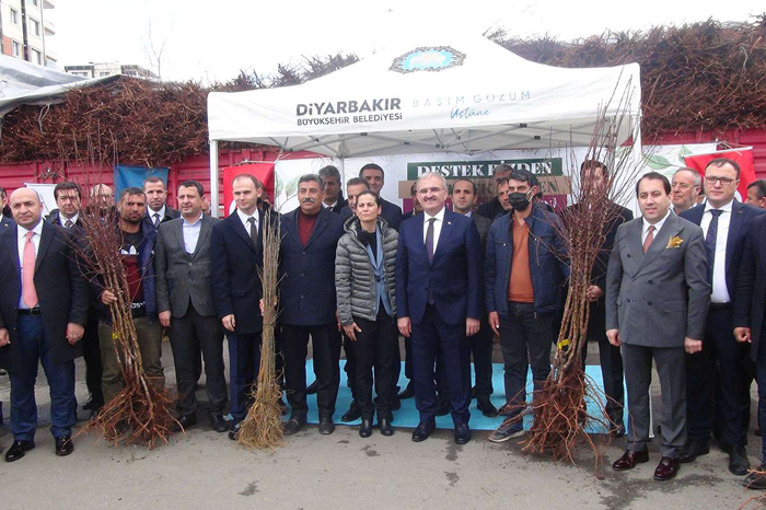 VİDEO HABER - Diyarbakır'da çiftçilere dut ve badem fidanı dağıtıldı!