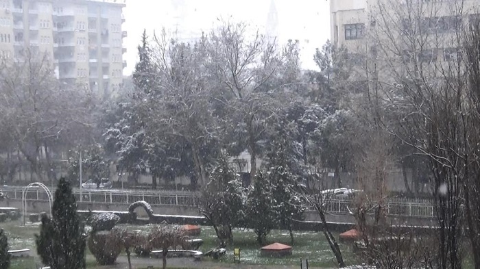 Diyarbakır, Mart ortasında beyaza büründü