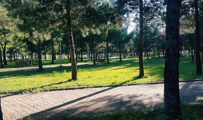 Park yaptırılacaktır