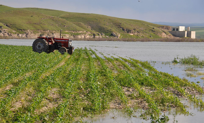 VİDEO HABER - Tarım arazileri sular altında kalan çiftçilerden yetkililere çağrı; Barajın su seviyesi düşürülsün