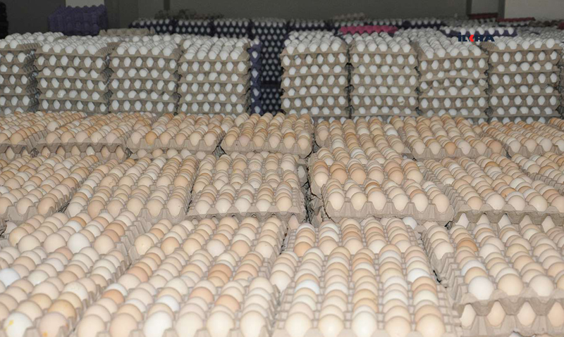 VİDEO HABER - Yumurta fiyatındaki düşüş tüketicileri sevindirdi