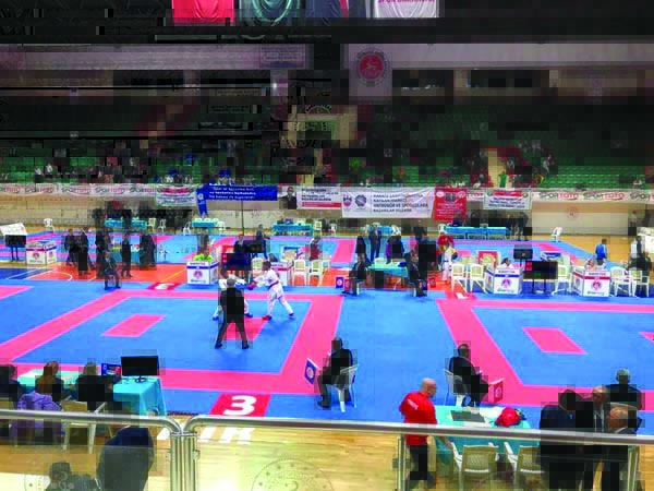 Diyarbakır Karate Kız Takımı, Türkiye Finallerinde