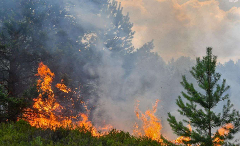 Orman yangını sonrası 20 bin kişi tahliye ediliyor