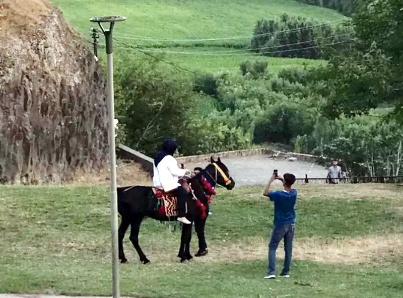 Sur’da atların çalıştırılmasına tepki: Hayvan çalıştırmak kültür değildir