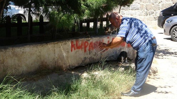 Bayramda sokak hayvanlarının yardımına koştu