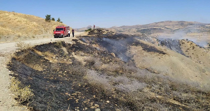 Video Haber: Kırsal alandaki yangın büyümeden söndürüldü