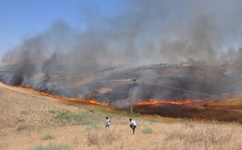 VİDEO HABER - Çiftçilere anız yangını uyarısı: Cezası 5 kat artırılabiliyor!