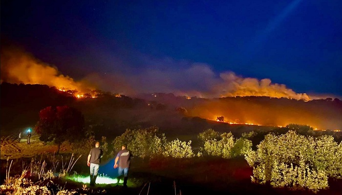 Diyarbakır'ın Eğil ilçesinde 3 noktada orman yangını