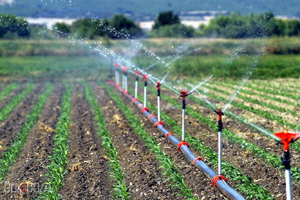 Bakan Kirişçi duyurdu; Tarımsal elektrik bedeli sıfır faizli kredi kapsamına alındı