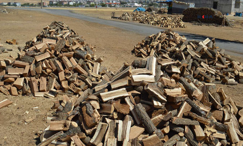VİDEO HABER - Odun ve kömürün fiyatı 1 yılda 3 kat arttı