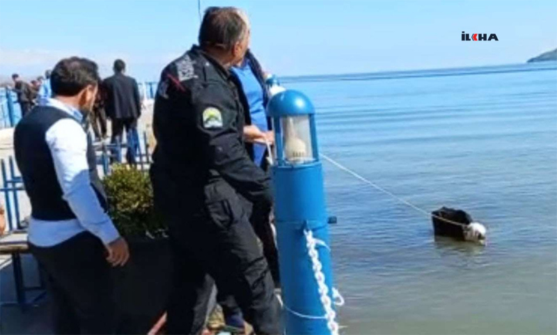 VİDEO HABER – Kasaptan kaçtı itfaiye ekiplerine yakalandı