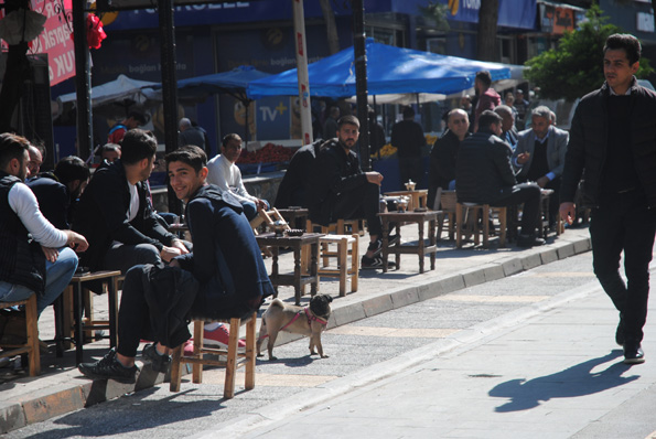 “Sanat”sız sokağın sanatçıları