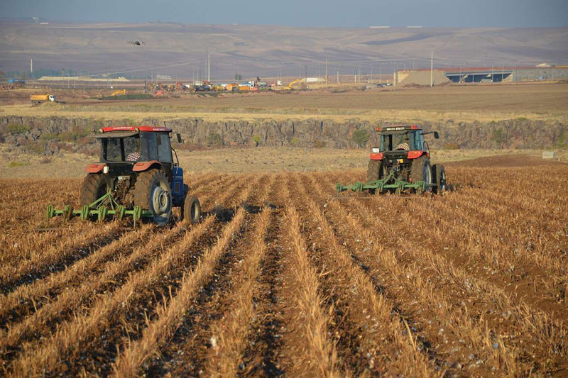 Diyarbakır'da çiftçilere 533 ton tohum desteği