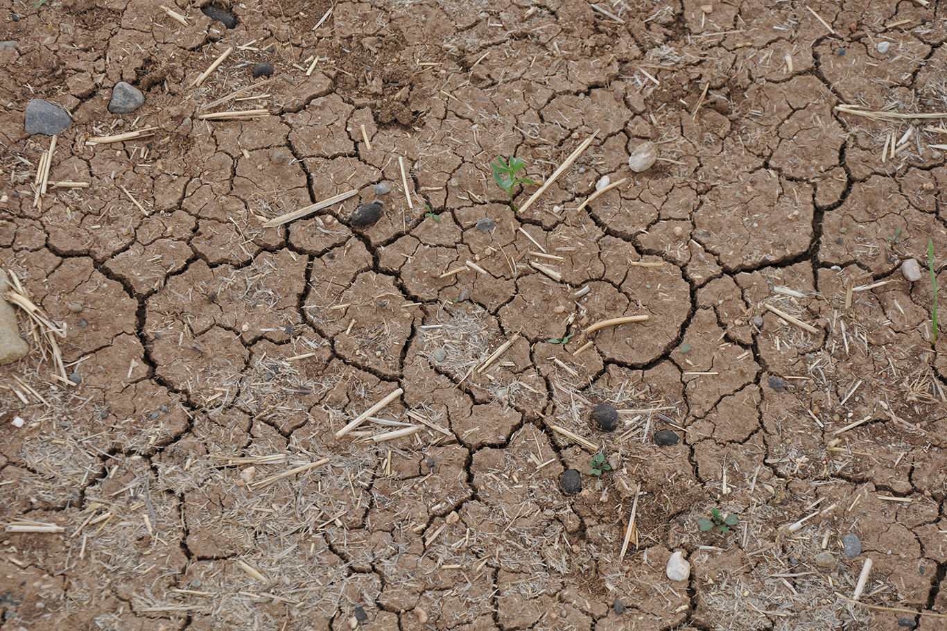 VİDEO HABER - Tarımsal üretimde ciddi bir kuraklık riski var!